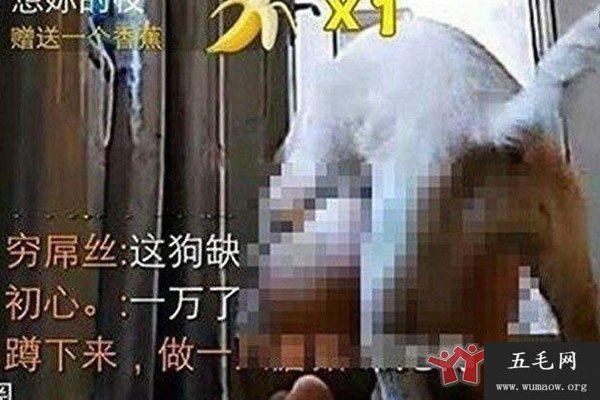 欧阳马小云跟做了解一下 我已经被雷的几乎要晕过去