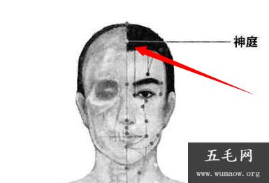 神庭穴穴位位置图及作用 值得收藏